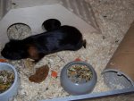 Bild 237.jpg