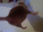 DSC00119.jpg