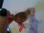 DSC00120.jpg