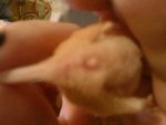 DSC00123.jpg