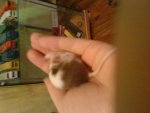 DSC00128.jpg