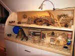 IMG_3522.jpg