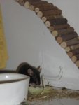 IMG_0846.jpg