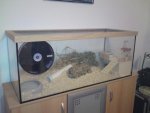 DSC03768.jpg
