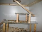 IMG_4874.jpg