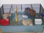 IMG00084-20091230-1855.jpg