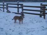 Winter 2009 060.jpg