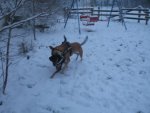 Winter 2009 064.jpg