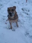 Winter 2009 066.jpg
