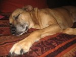 Winter 2009 079.jpg