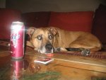 Winter 2009 085.jpg