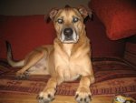 Winter 2009 090.jpg