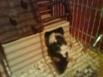 DSC00534.JPG