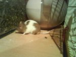 DSC00557.JPG