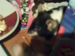 DSC00573.JPG