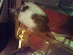 DSC00578.JPG