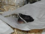 RSCN0886.jpg