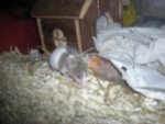 DSCN3306.jpg