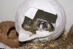 DSC07599.jpg