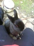DSC00822.JPG