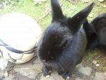 DSC00825.JPG