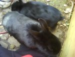 DSC00827.JPG