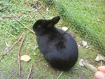 DSC00829.jpg