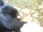 DSC00830.JPG