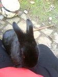 DSC00835.JPG