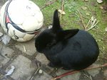 DSC00836.JPG