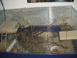 DSCF1777.jpg