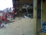 DSC01561.jpg