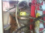 DSC01562.jpg