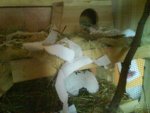 DSC01564.jpg