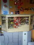 DSC01566.jpg