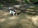 DSC07597.jpg