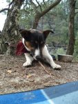 DSC07616.jpg