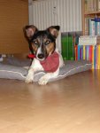 DSC07749.jpg