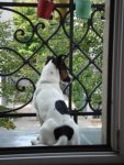 DSC07755.jpg