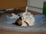 DSC07790.jpg
