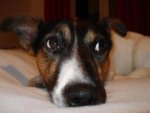 DSC07814.jpg