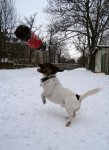 Theo-Schnee 29.jpg
