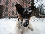 Theo-Schnee 40.jpg
