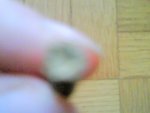 DSC00845.JPG