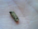 DSC00846.JPG