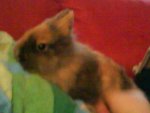nala 018.JPG