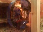 DSC01575.jpg