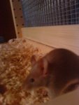 DSC01535.JPG