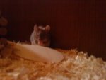 DSC01571.JPG