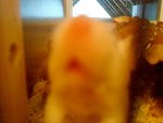 DSC01527.jpg